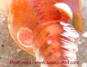 6876_52cfdbb24ab8b.jpg 299X232 px