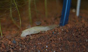 6984_52c83557e44e6.jpg 1280X765 px