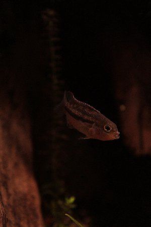 7039_52fe4b33bf3ec.jpg 320X480 px