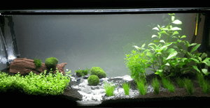 7043_531dd23c5b3d6.png 1017X524 px