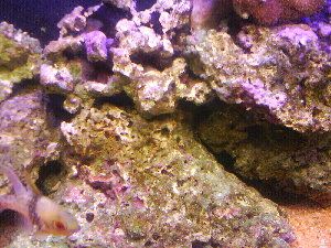708_4965f71de2e1f.jpg 300X225 px