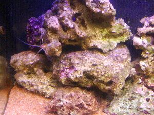 708_4965f72bcaf72.jpg 300X225 px