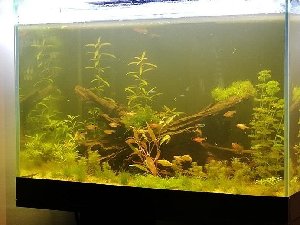 7280_5bf6ff2045656.jpg 692X519 px