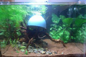 7335_52ff7e91b6bc5.jpg 299X199 px
