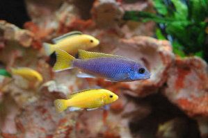792_48bf85e6994c3.jpg 299X199 px