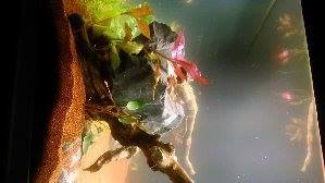 8436_5583bed8f2562.jpg 1280X720 px