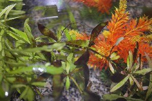 8469_54295bd1eb060.jpg 300X200 px