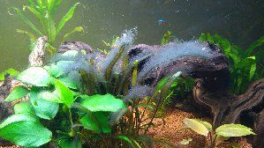 8821_56954f12616d9.jpg 980X551 px