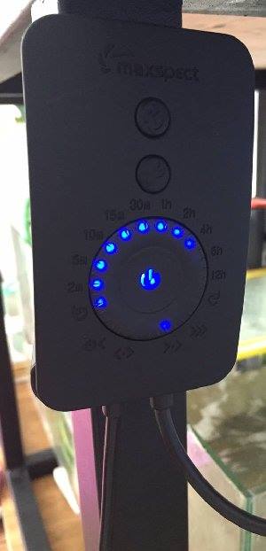 8_5528ee7768f91.jpg 578X1200 px