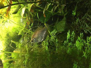 9168_552eabc09860e.jpg 1280X960 px