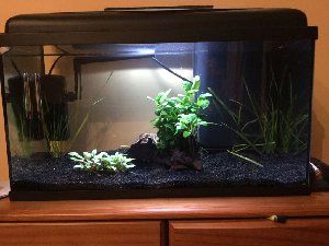 9195_54abc0e6555bb.jpg 300X225 px