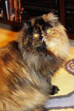 91_463865b6a9aeb.jpg 320X480 px