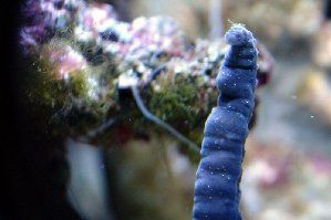 91_4794fffa04043.jpg 299X199 px
