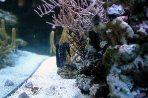91_479500986b1a1.jpg 299X199 px