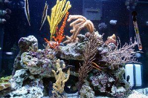 91_479500eef2c77.jpg 320X213 px