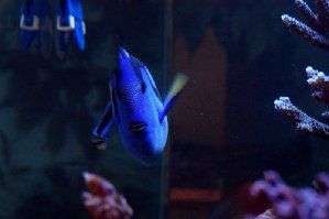 91_48aaf1b1d691a.jpg 320X213 px