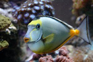 91_4979a89aeb6ed.jpg 300X200 px