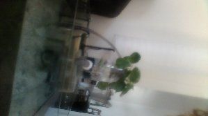 9416_5501be6bb5cbd.jpg 320X180 px