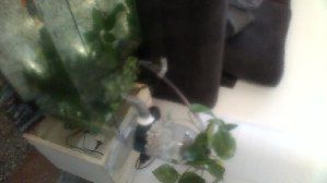 9416_5501bef20caf2.jpg 320X180 px
