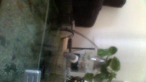 9416_5501c0dce216c.jpg 320X180 px