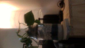 9416_5501c550aee4d.jpg 299X168 px