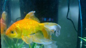 9430_54de4092859e6.jpg 299X168 px