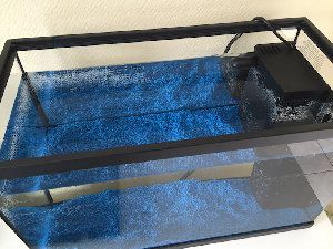 Premier Aquarium 20L, Combattant dedansconseils : forum Aquarium