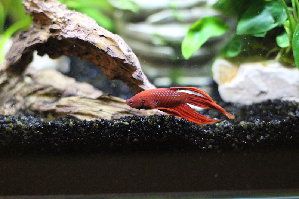 9548_551b26444398d.jpg 299X199 px