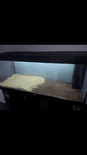 9657_55e1ed7c4472e.png 720X1280 px