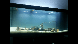 9657_55e765fb0f84c.png 1280X720 px