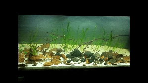 9657_55e9de3ce3a26.png 1280X720 px