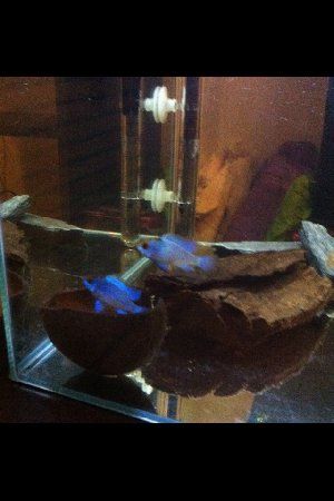 9674_554fdcd7ec410.jpg 320X480 px
