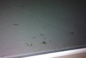 9674_555351d1696ad.jpg 320X214 px