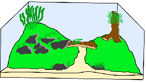 9710_55f1ec90d3858.png 800X452 px