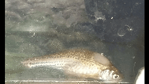 9925_57d3c56234ab2.png 960X540 px