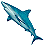 avatar adri74