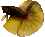 avatar terence44